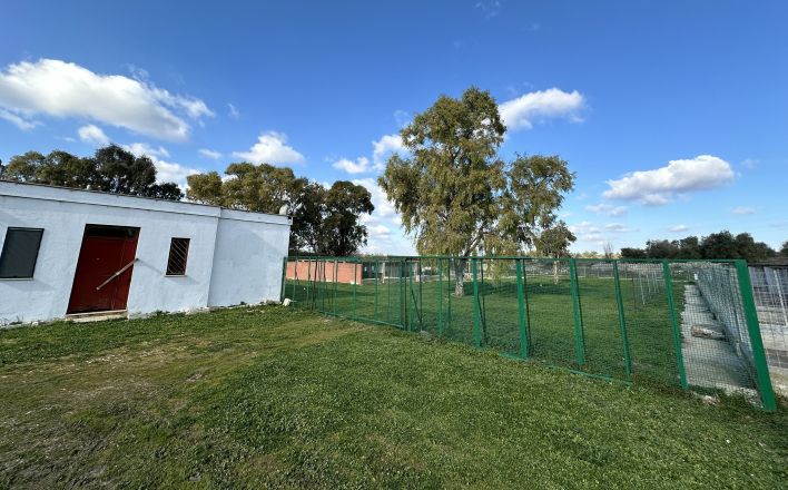 canile comunale acquaviva