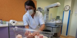 Asl Bari, nei 5 punti nascita provinciali sono 4.800 i nuovi nati nel 2024