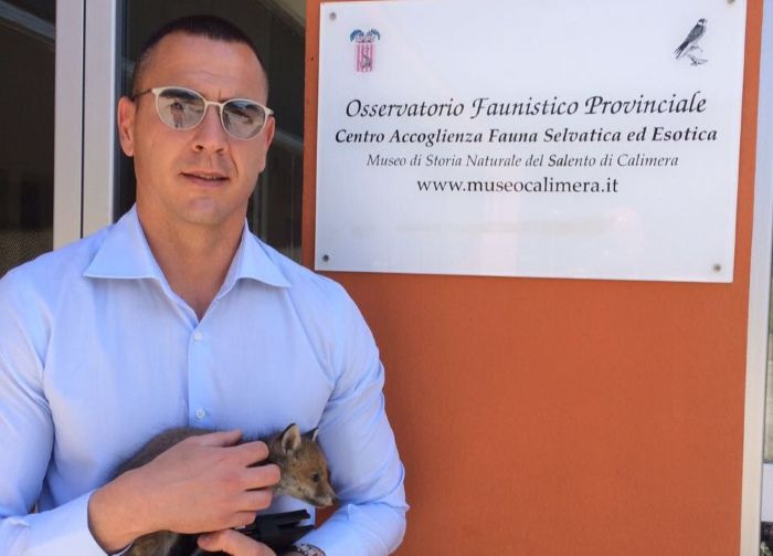 animali selvatici centro calimera