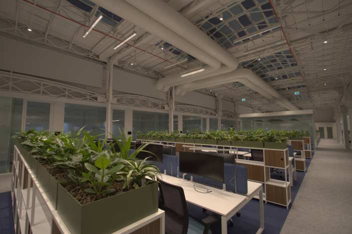deloitte bari