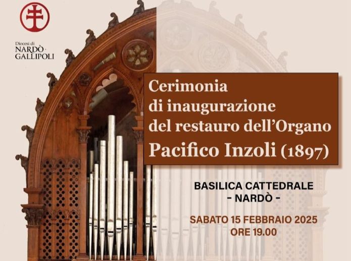 organo cattedrale nardo