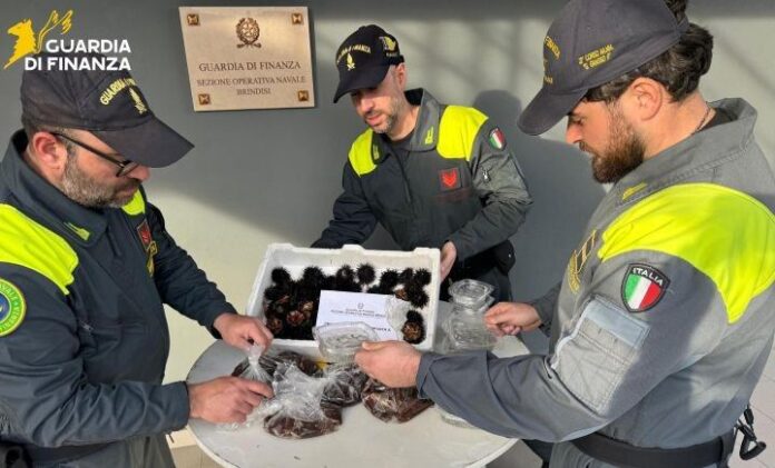 foto sequestro ricci finanza