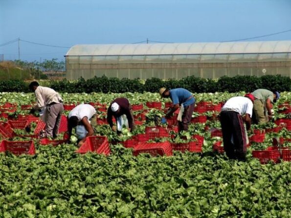 Lavoratori