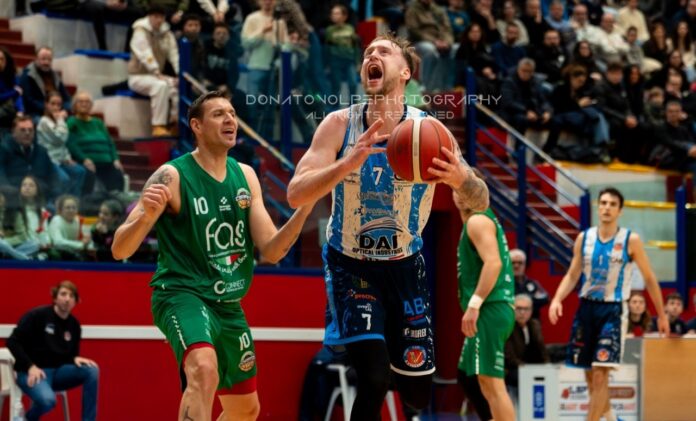 virtus basket molfetta 2026
