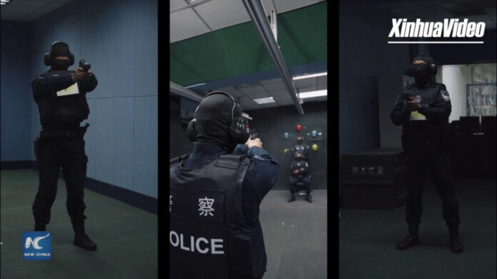 lv3d