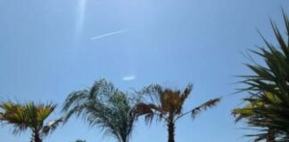 Marina di Pietrasanta, inaugurato il Tala Beach. Più di mille gli ospiti