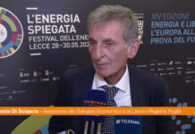 Energia, Di Sciascio “La Regione Puglia farà la sua parte”