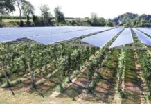 Agrivoltaico in Capitanata, alle aziende locali parte dei 75 milioni di euro dei progetti di Nadara