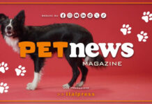 PetNews Magazine – 25/5/2026