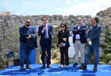 Xylella, Mapei investe nella rigenerazione agricola con OlivaMi in Salento