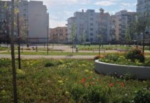 Macabro ritrovamento a Bari: spunta un teschio umano tra i cespugli del Parco Maugeri