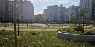 Macabro ritrovamento a Bari: spunta un teschio umano tra i cespugli del Parco Maugeri