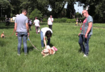 Dog Lovers Day, a Roma e Milano focus sulla prevenzione veterinaria