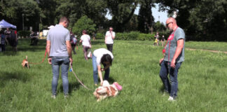 Dog Lovers Day, a Roma e Milano focus sulla prevenzione veterinaria