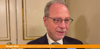 Mulè “Alle comunali in Sicilia qualcosa non è stato fatto a dovere”