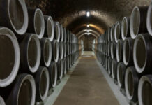 Vino, export mondiale da record ma pesano i dazi Usa