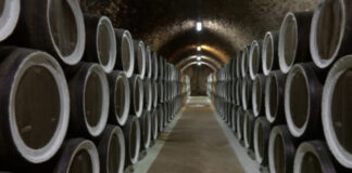 Vino, export mondiale da record ma pesano i dazi Usa