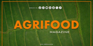 Agrifood Magazine – 24/6/2026
