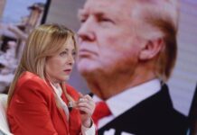 Scontro Trump-Meloni. “Mi ha implorato per una foto”, “Falso, Italia non implora”