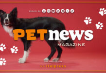 PetNews Magazine – 22/6/2026