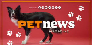 PetNews Magazine – 22/6/2026