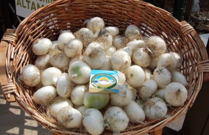 cesta cipolla margherita