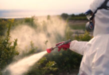 Pesticidi, ricercatori contro la semplificazione delle autorizzazioni
