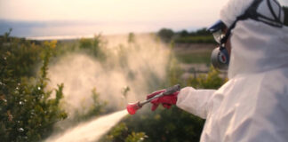 Pesticidi, ricercatori contro la semplificazione delle autorizzazioni