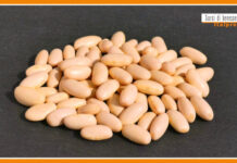 Sorsi di Benessere – Una crema leggera e gustosa