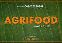 Agrifood Magazine – 10/6/2026