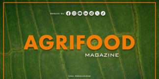 Agrifood Magazine – 10/6/2026