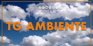 Tg Ambiente – 21/6/2026