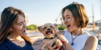 Bambini e animali domestici: come cambia la vita in casa con la fine della scuola?