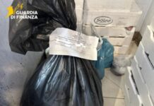 Bitonto: la Guardia di Finanza sequestra prodotti ittici e scopre lavoratori in nero