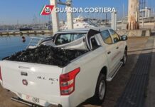 Guardia Costiera di Bari: sequestrata quasi una tonnellata di mitili illegali tra il capoluogo e Bitonto