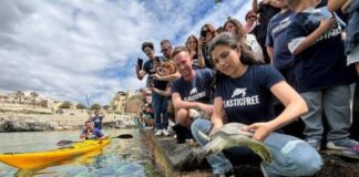 Domani a Castro saranno liberate quattro tartarughe marine recuperate e curate