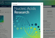 Rna, ecco come le cellule elaborano l’informazione