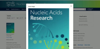 Rna, ecco come le cellule elaborano l’informazione