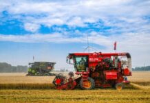 Cina, per la prima volta il raccolto di cereali estivi supera 150 mln tonnellate