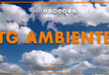 Tg Ambiente – 12/7/2026