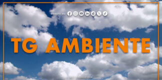 Tg Ambiente – 12/7/2026