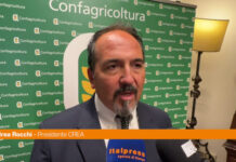 Rocchi (Crea) “Serve cambio di paradigma nella gestione del territorio”