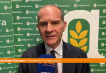 Giansanti “Sulla Xylella dare risposte concrete ai nostri agricoltori”