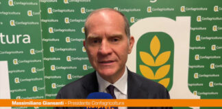 Giansanti “Sulla Xylella dare risposte concrete ai nostri agricoltori”