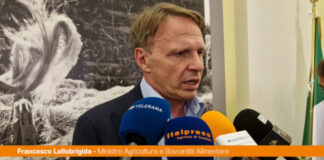 Agroalimentare, Lollobrigida “Controlli e risorse per il settore cerealicolo”
