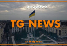 Tg News – 8/7/2026