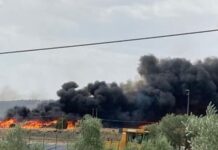 Incendi sulla Murgia ad Altamura: domato il rogo tra La Mena e Pulo, la situazione oggi