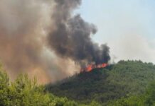 Incendi tra Gargano e Molise: turisti evacuati via mare e trasporti in tilt