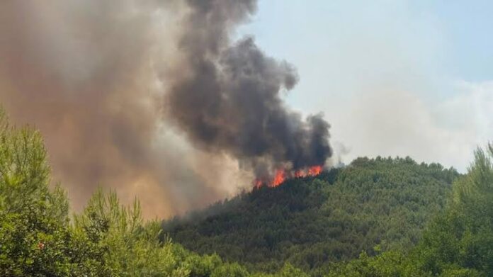 incendio peschici