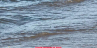 “Marinando”, come imparare a vedere oltre